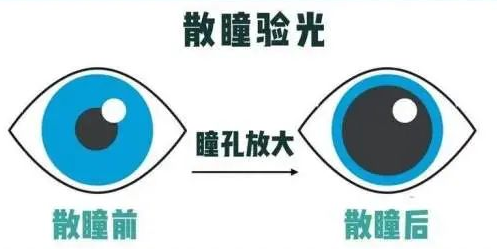 2accfe0b7a5778dcb89026d9aefa5767